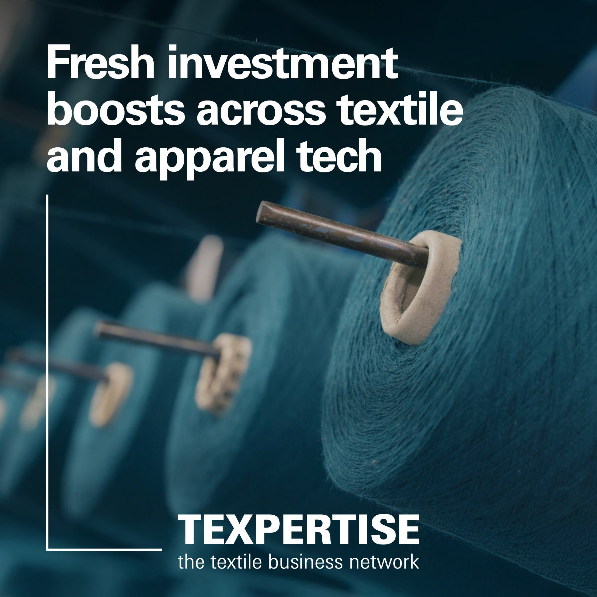 txp-fresh-investment-teaser